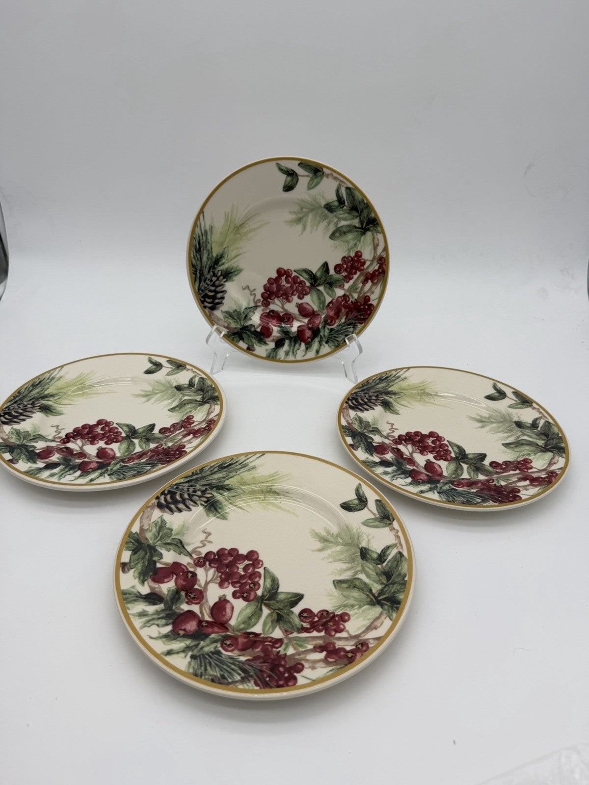 Botanical Wreath William Sonoma Red Berries & Pinecones Salad /dessert Plates 4