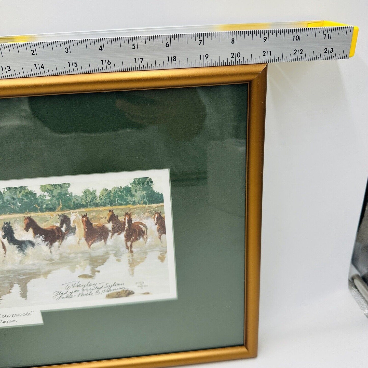 Mick B. Harrison Horses Print Frame Dash For The Cottonwoods Signed COA Wall Art