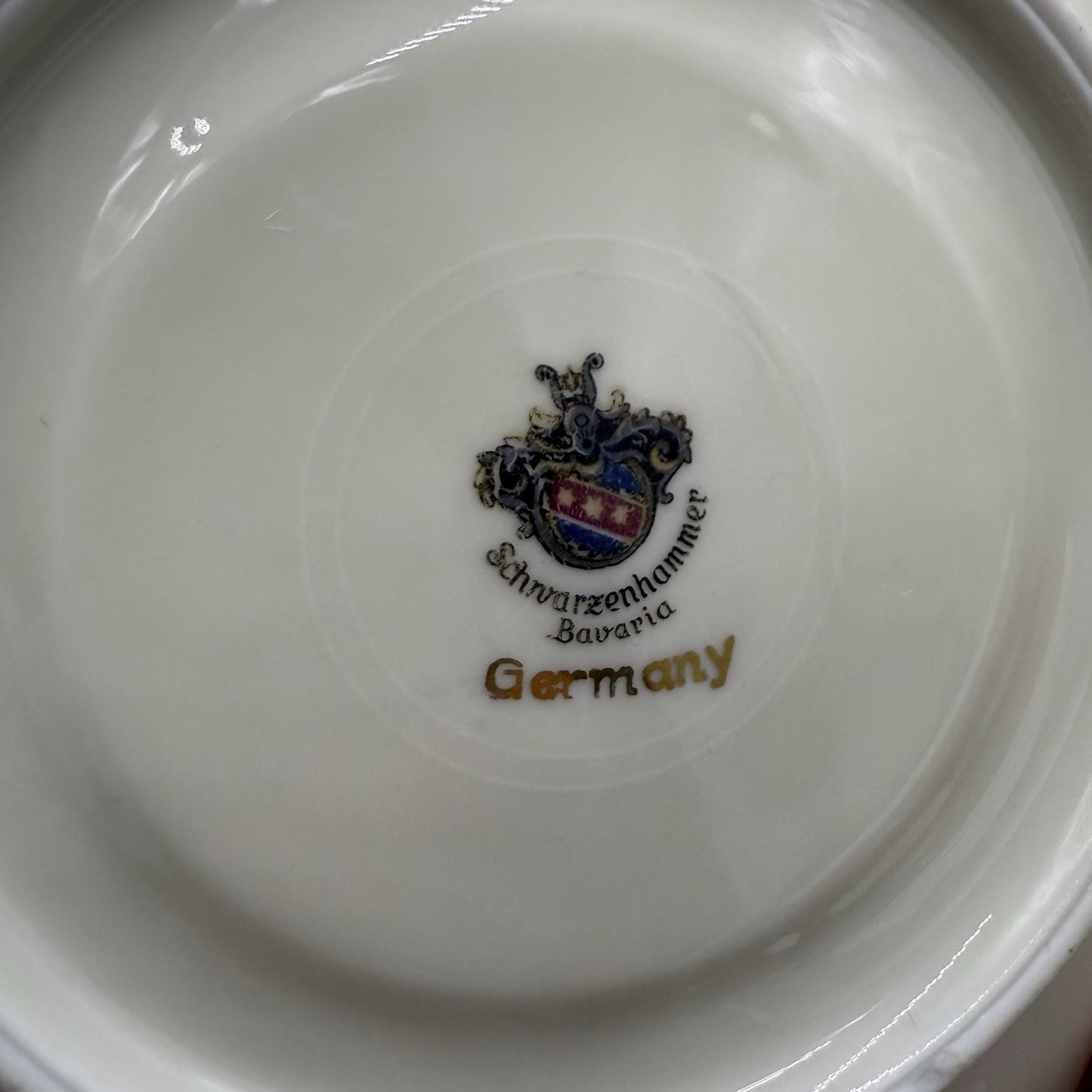 Antique Schwarzenhammer Bavaria Porcelain Gold Trim tea cup & saucer Green