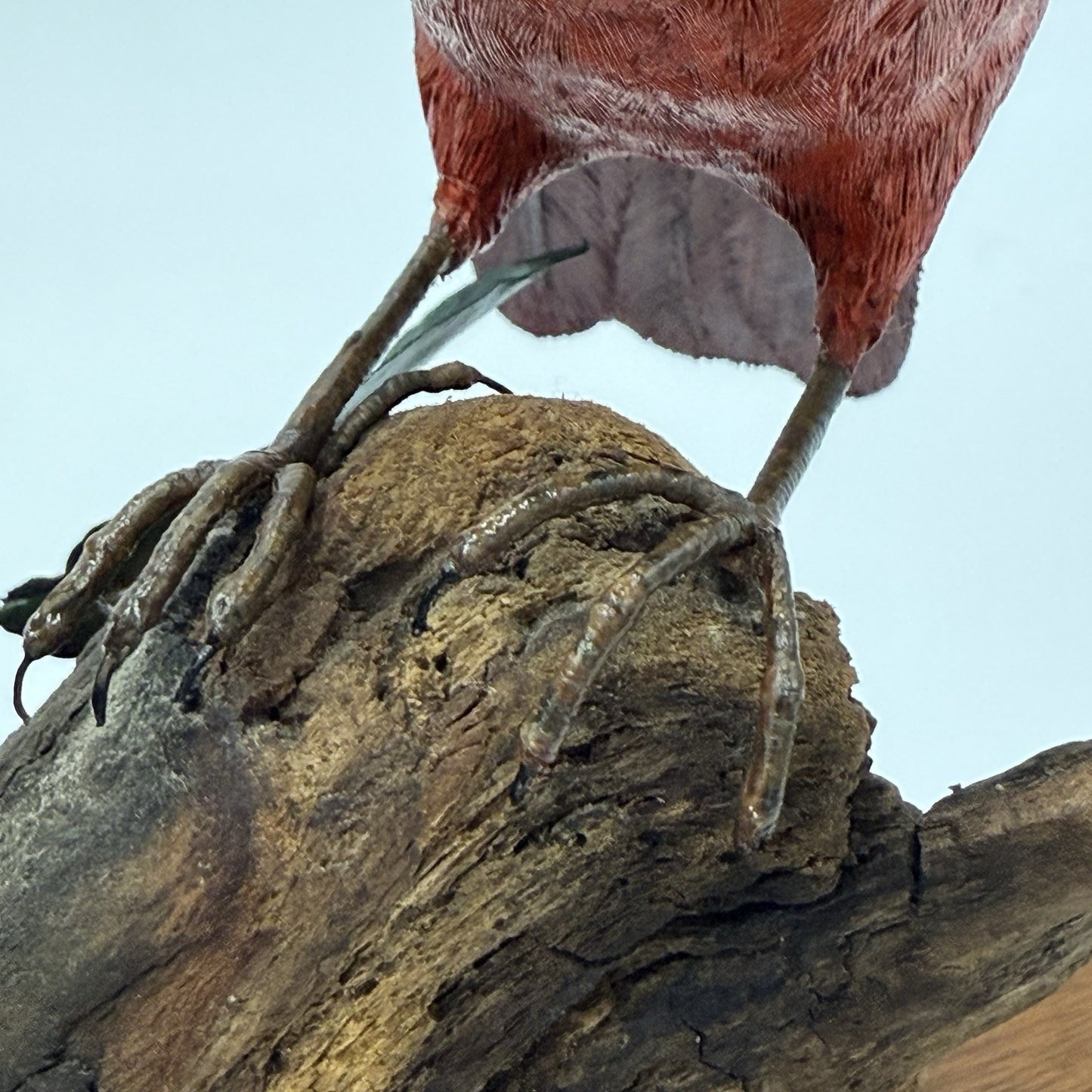 Vintage Susan Young Folk Art Wood Carving Northern Pair Cardinal Perched Signed