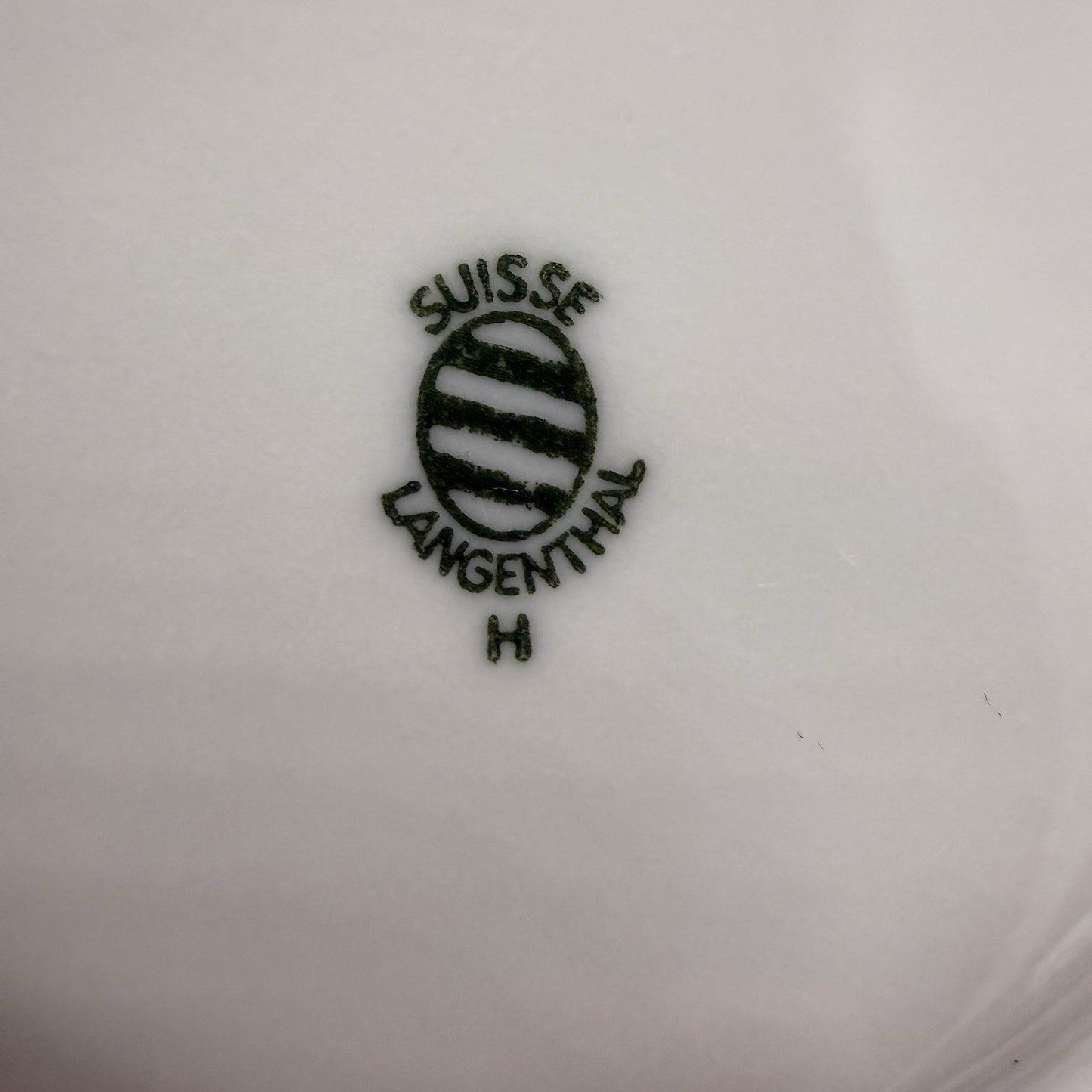 Rare Vintage Suisse Langenthal Alpage Pattern Cup And Saucer Porcelain Set