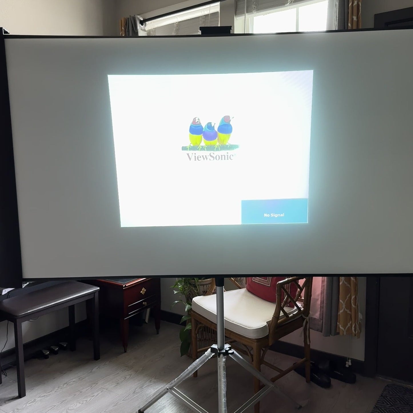 Viewsonic Black PJD5122 Projector With Remote Travel Bag Audio VGA Cables