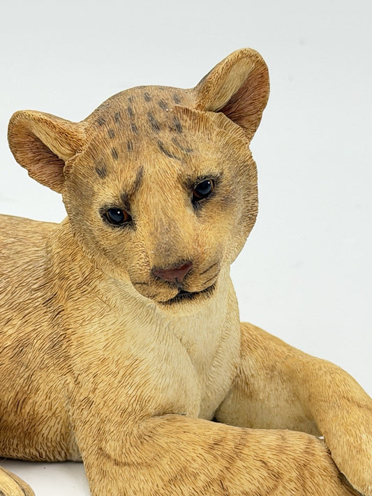 Rare Country Artists UK Fine Lion Cub Sculpture Figurine Hand Painted Vtg 2002