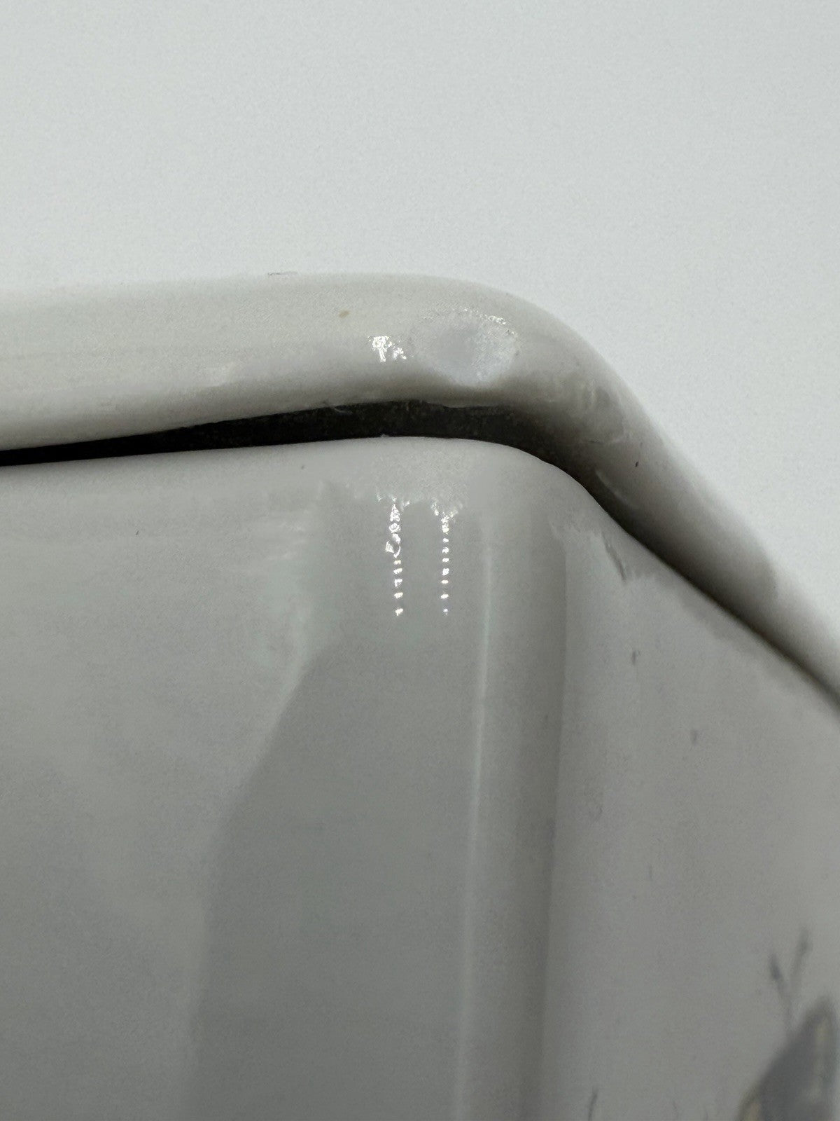 Vtg Limoges France Porcelain Birds Bugs Botanical Trinket Box 1.5”x3.5”x2.5”