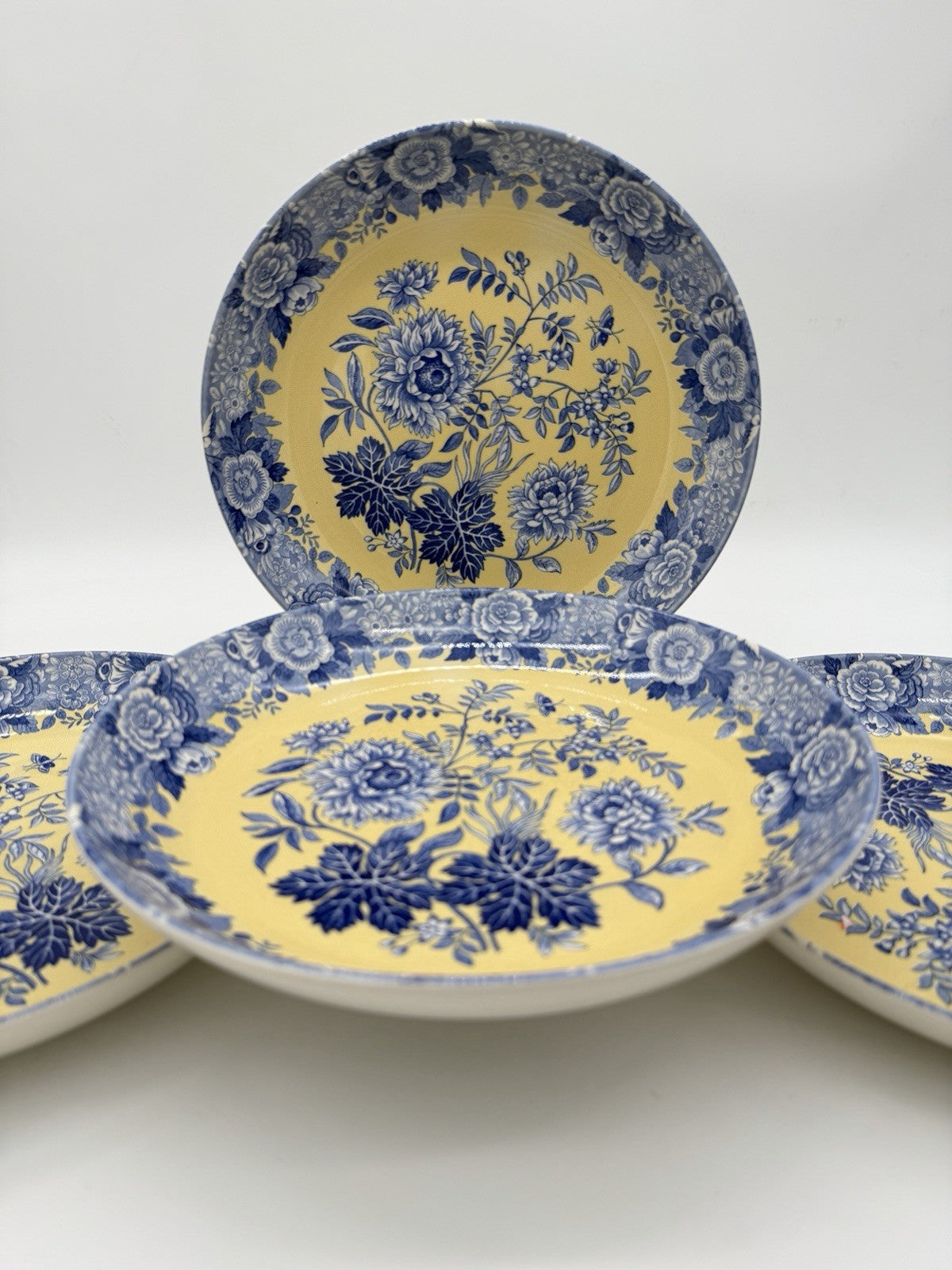 Spode Porcelain Blue Room Garden Collection Jasmine Blue & Yellow Pasta bowl Set