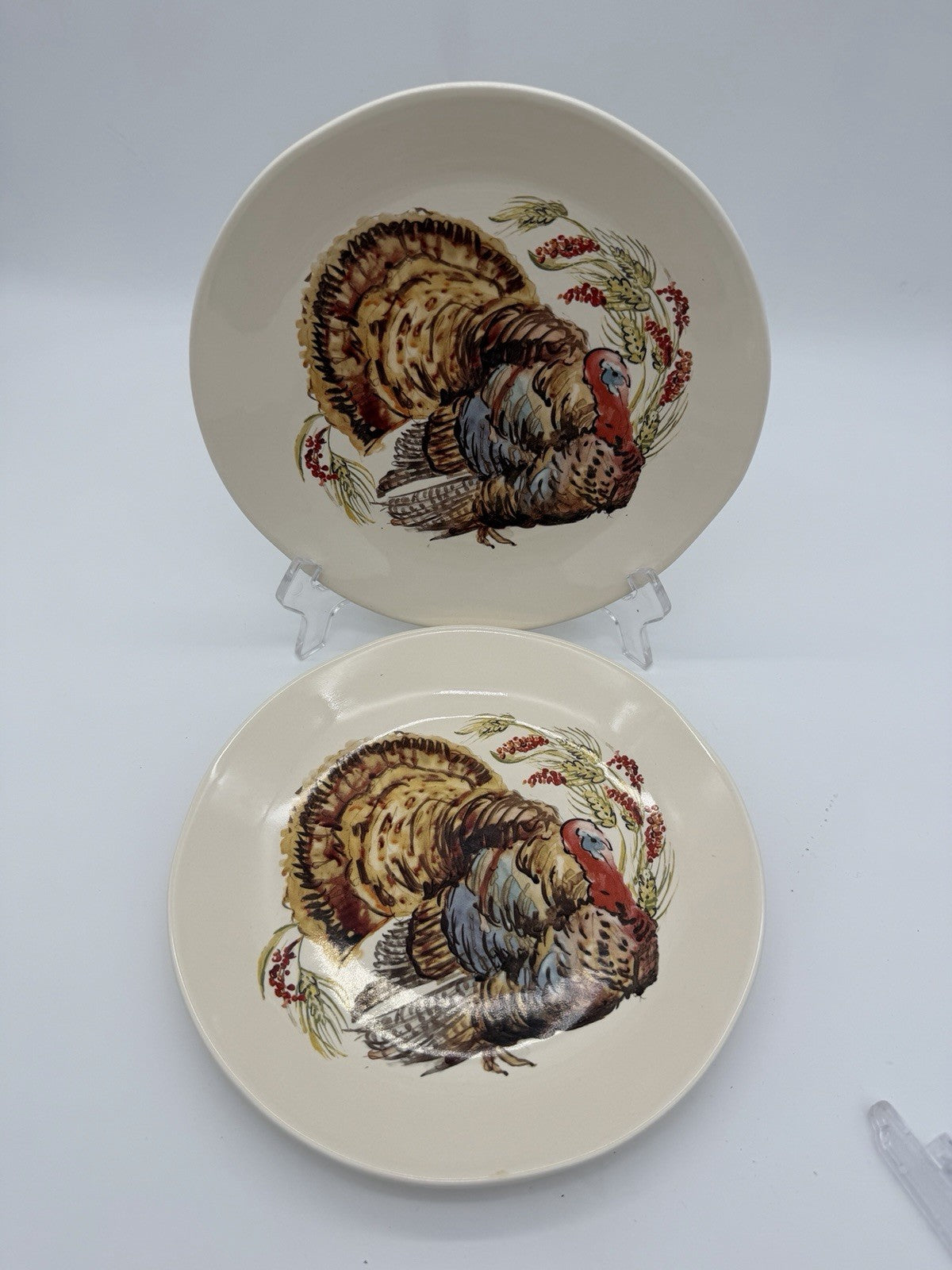 Pottery Barn Watercolor Plymouth Turkey 2 salad plates Thanksgiving 8”