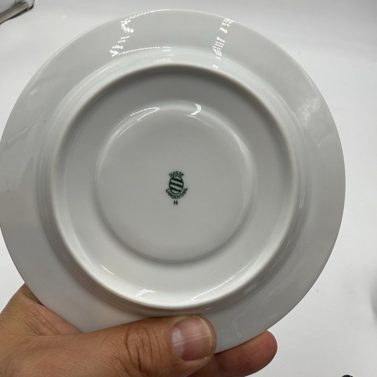 Rare Vintage Suisse Langenthal Alpage Pattern Cup And Saucer Porcelain Set