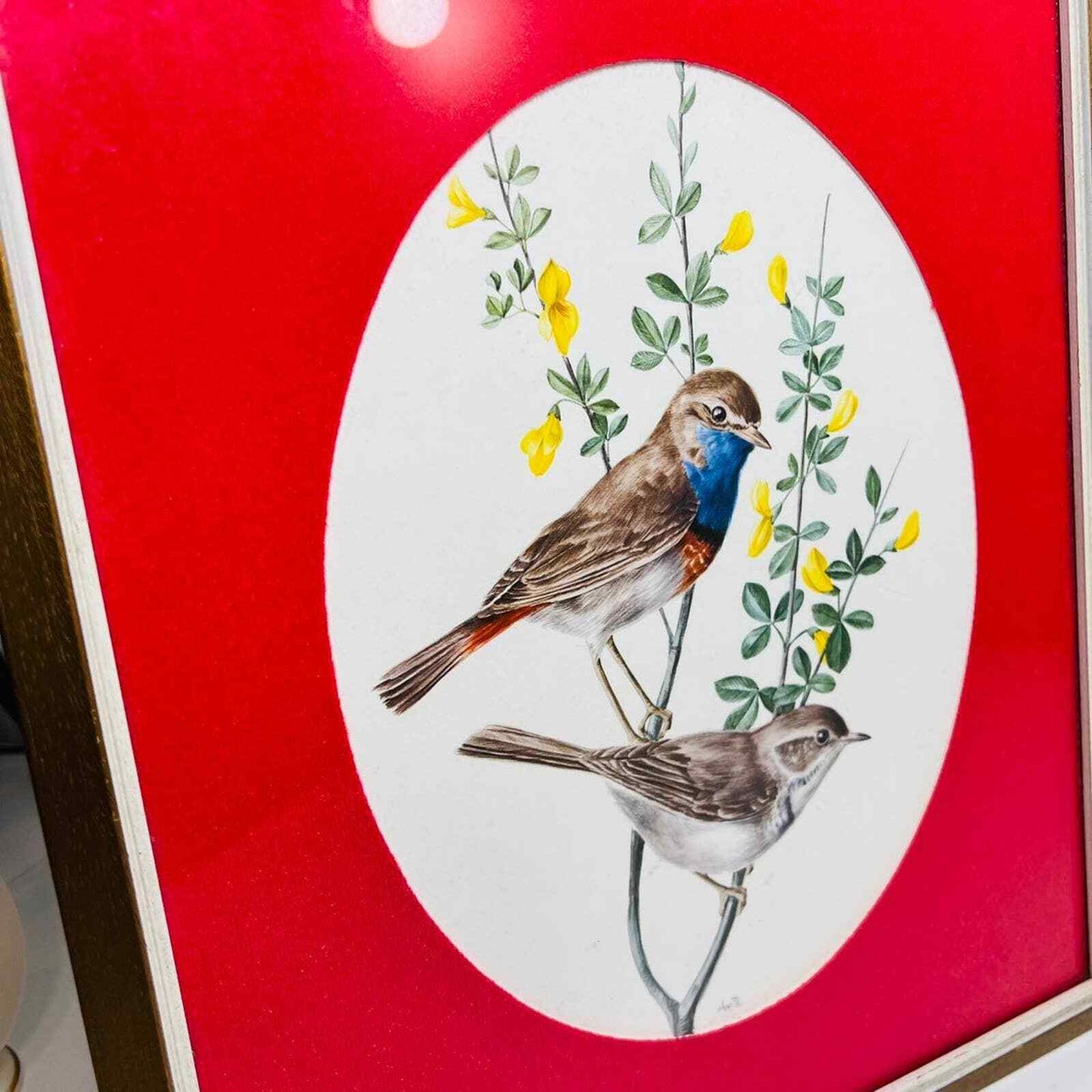 Anatole Marlin Bird Print Blue Throat Framed Art Home Decor Vintage Signed
