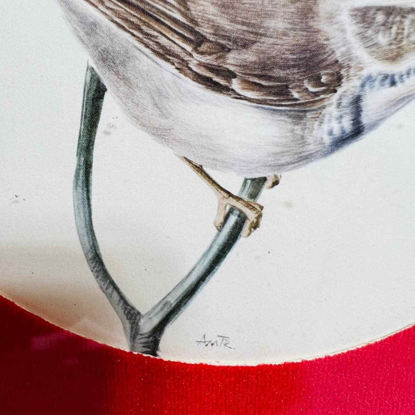 Anatole Marlin Bird Print Blue Throat Framed Art Home Decor Vintage Signed