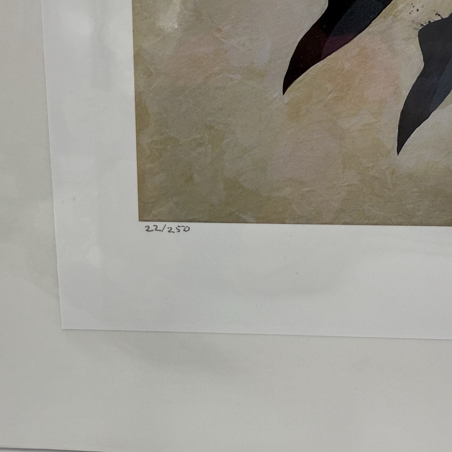 Bruce Holwerda Signed Art Print 22/250 Red Please 2017 Rare 12x16