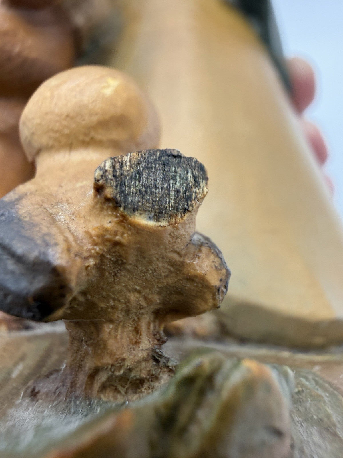 Anri Ferrandiz Wood Carved Figurine Talking to the Animals 1984 Italy 10”Vtg