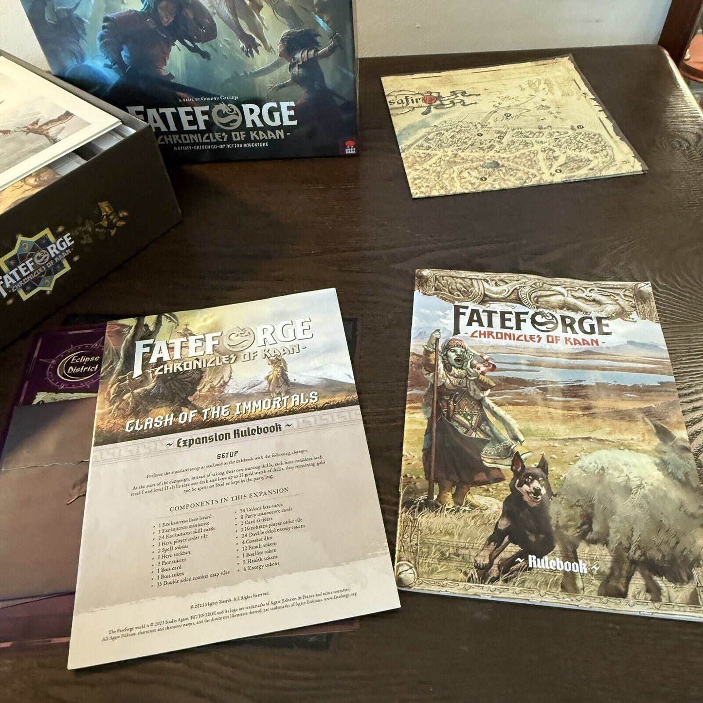 Fateforge: Chronicles of Kaan Limited Deluxe Edition Painted Miniatures Co-op