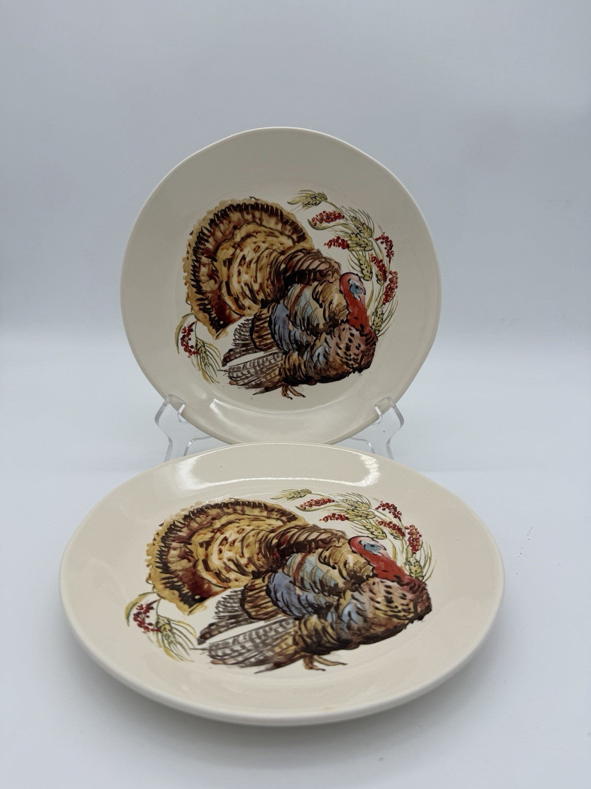 Pottery Barn Watercolor Plymouth Turkey 2 salad plates Thanksgiving 8”