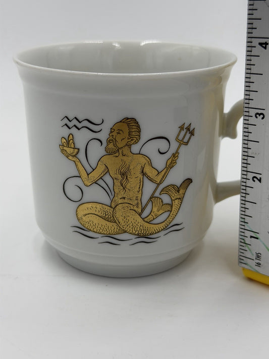 Schumann Arzberg Aquarius Bavarian Porcelain Zodiac Signs #21 Coffee Mug Vintage