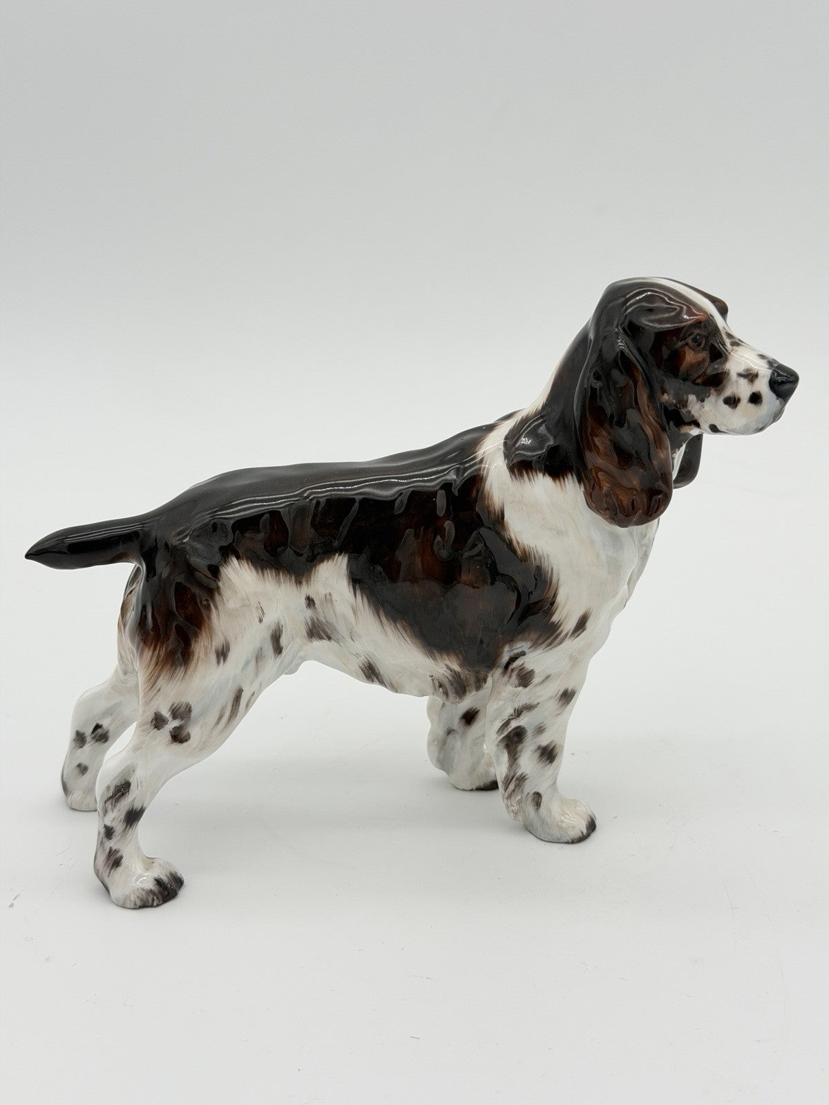 Royal Doulton Porcelain England Springer Spaniel HN 2516 Dog Figurine 5”Hx6”L