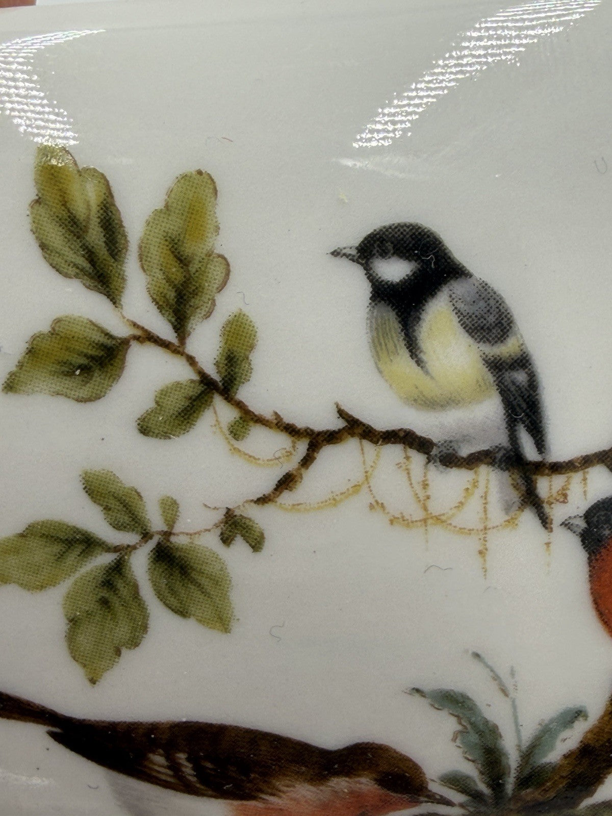 Vtg Limoges France Porcelain Birds Bugs  Botanical Trinket Box 1.5”x3.5”x2.5”