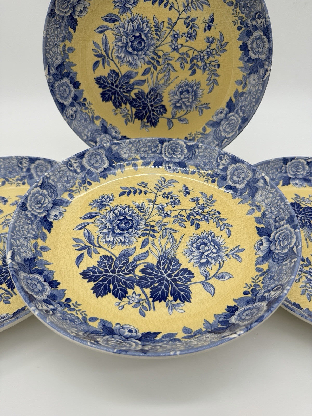 Spode Porcelain Blue Room Garden Collection Jasmine Blue & Yellow Pasta bowl Set