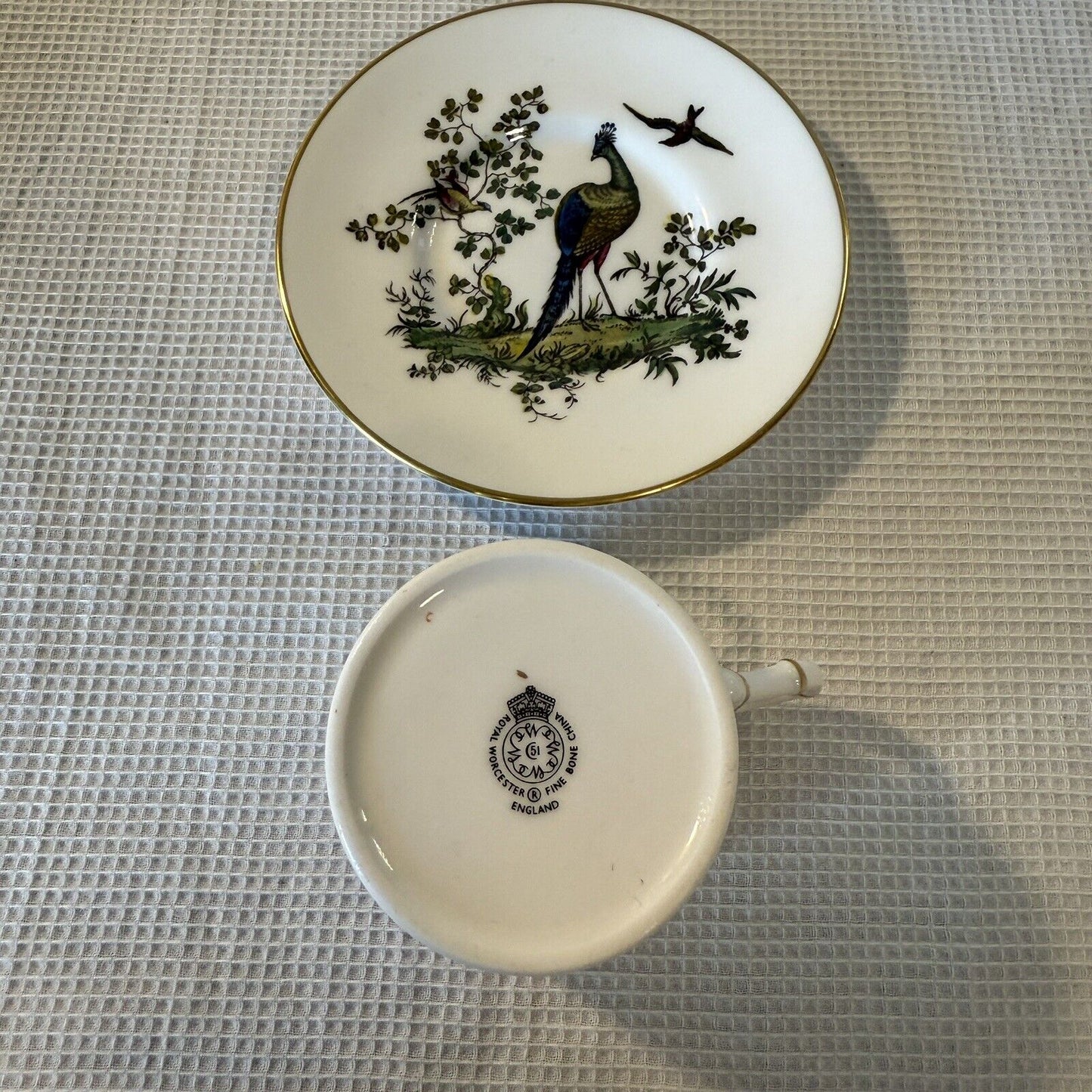 Royal Worcester Tea Cup And Saucer England Fine China Birds Peacock Dining