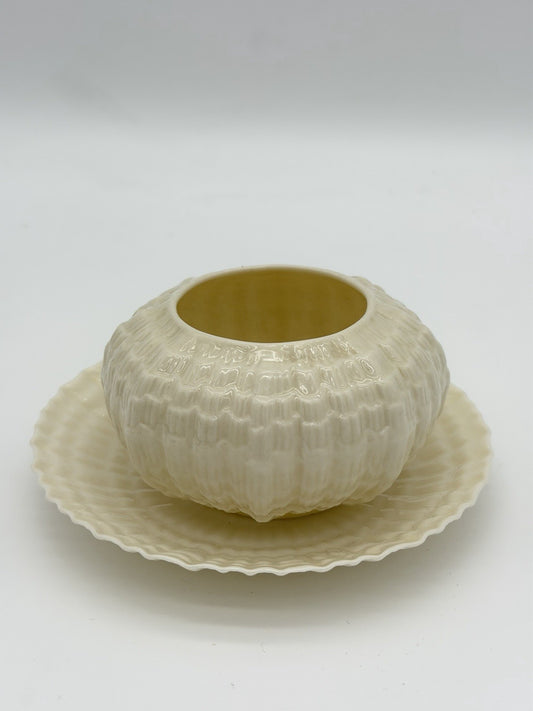 Belleek Ireland Tridacna Open Sugar Bowl & Saucer Sea Shell Porcelain Set 2 PCs
