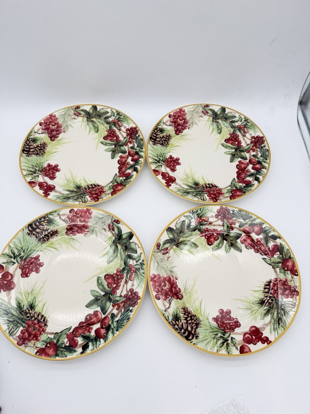 Botanical Wreath Williams Sonoma Dinner Plates 10.5” Red Berries & Pinecones 4