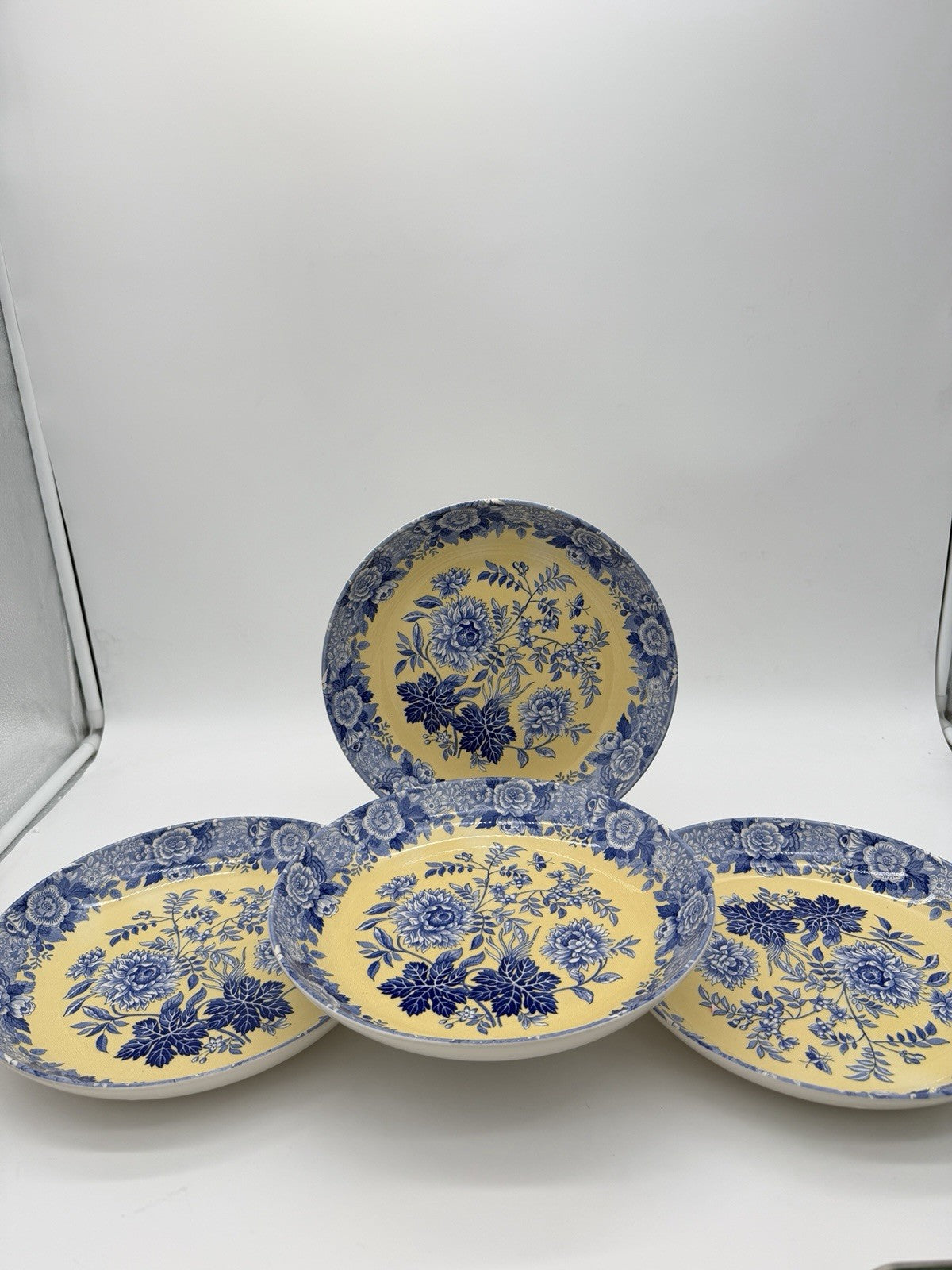 Spode Porcelain Blue Room Garden Collection Jasmine Blue & Yellow Pasta bowl Set