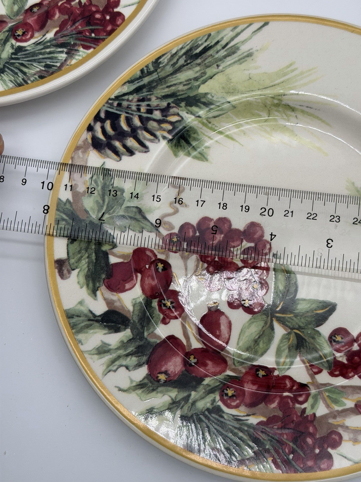 Botanical Wreath William Sonoma Red Berries & Pinecones Salad /dessert Plates 4
