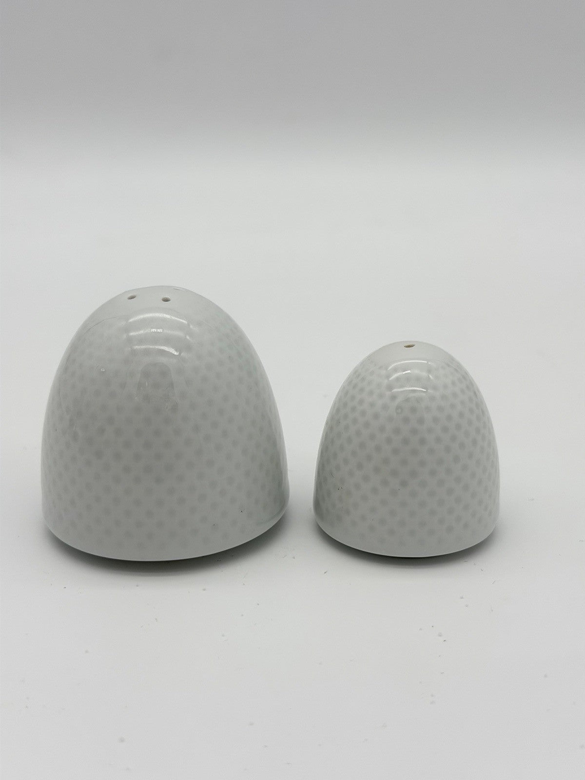 Rosenthal Porcelain Germany White Paneled Salt & Pepper Shakers Egg Shaped
