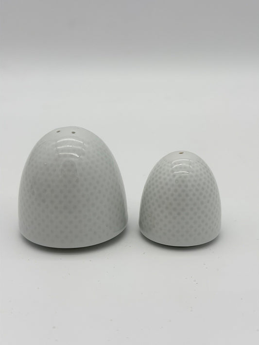 Rosenthal Porcelain Germany White Paneled Salt & Pepper Shakers Egg Shaped
