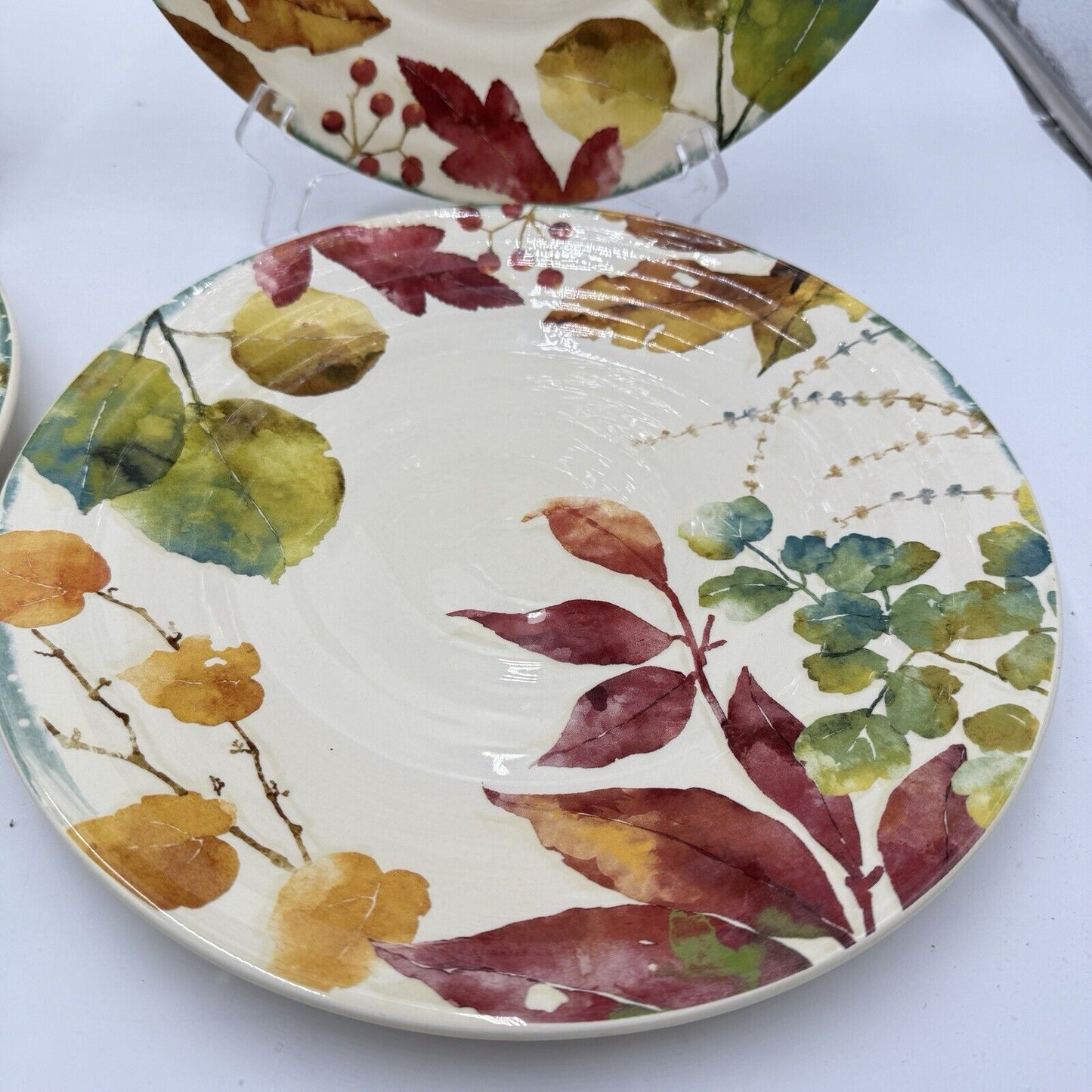 Pier 1 Imports WILLOW Dinner Plates Set 4 11” Fall Leaves Ironstone Ceramic