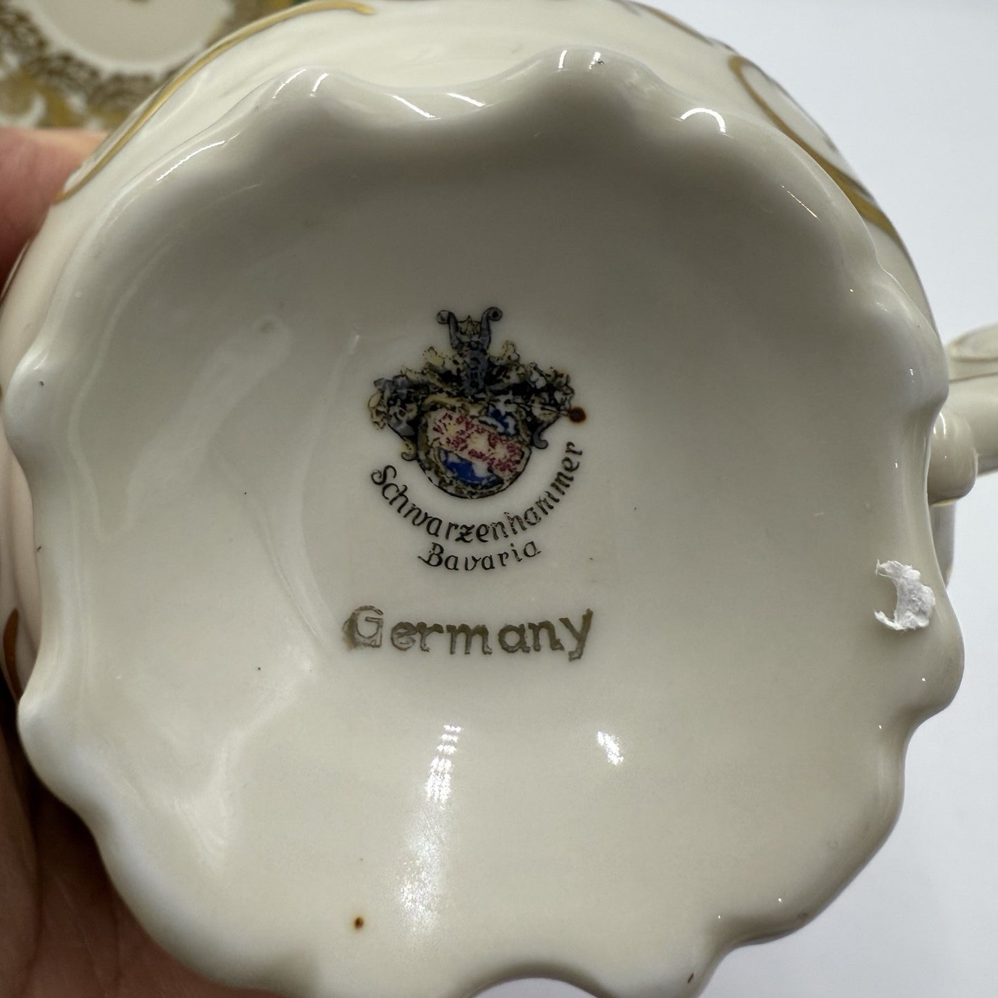 Antique Schwarzenhammer Bavaria Porcelain  Gold Trim tea cup & saucer Green
