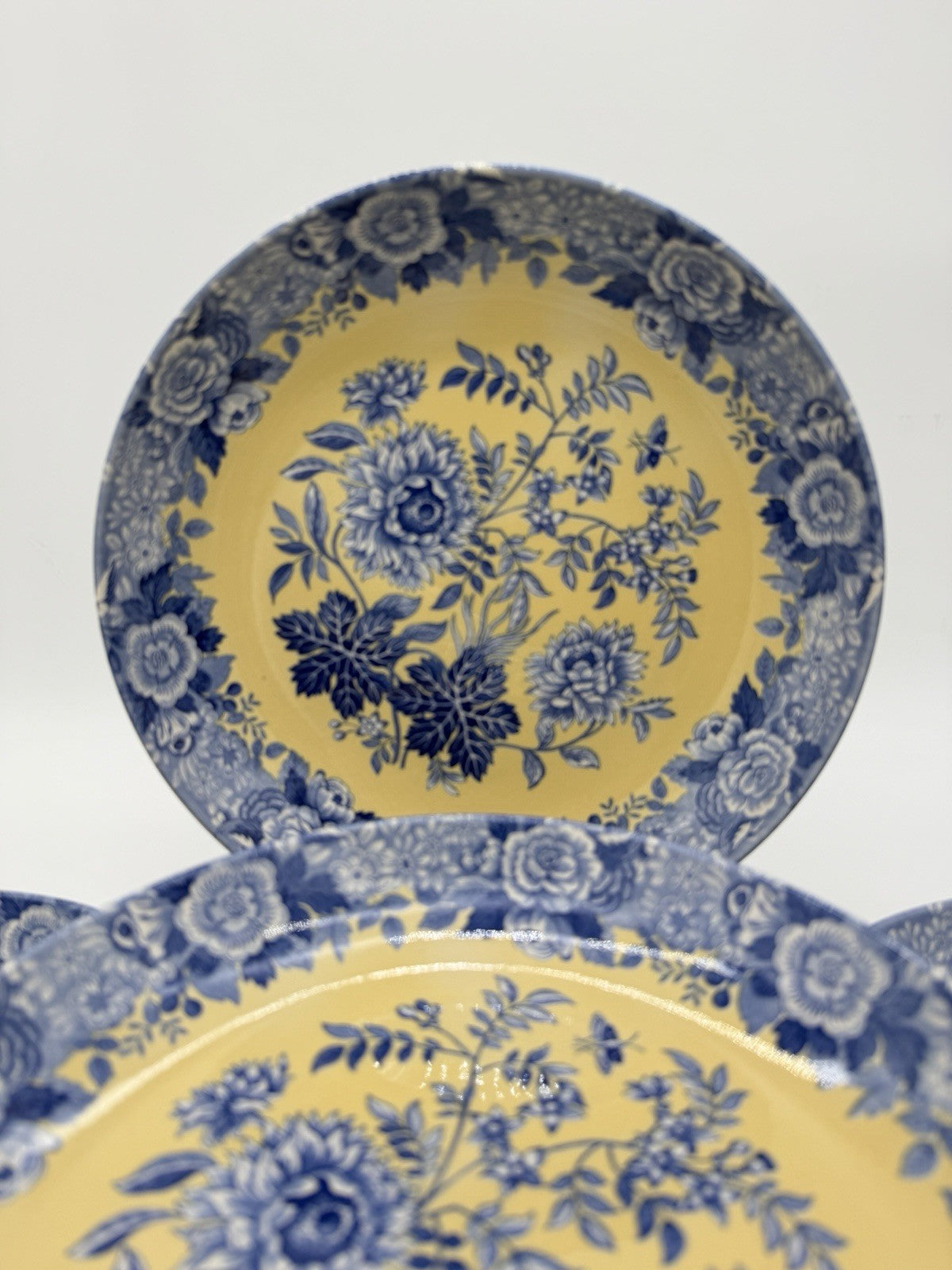 Spode Porcelain Blue Room Garden Collection Jasmine Blue & Yellow Pasta bowl Set
