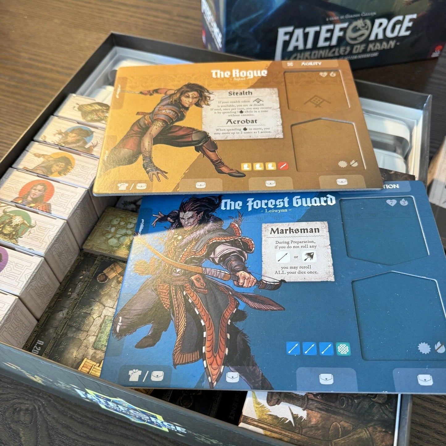 Fateforge: Chronicles of Kaan Limited Deluxe Edition Painted Miniatures Co-op