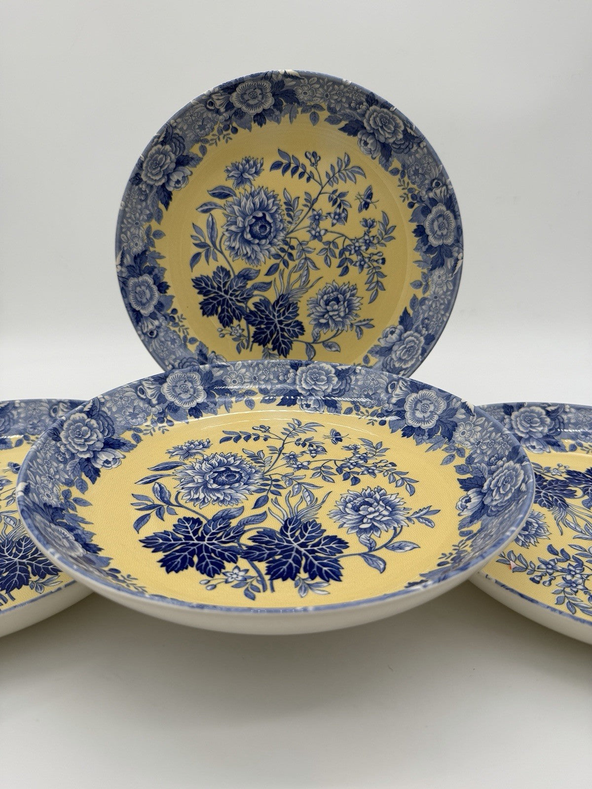 Spode Porcelain Blue Room Garden Collection Jasmine Blue & Yellow Pasta bowl Set