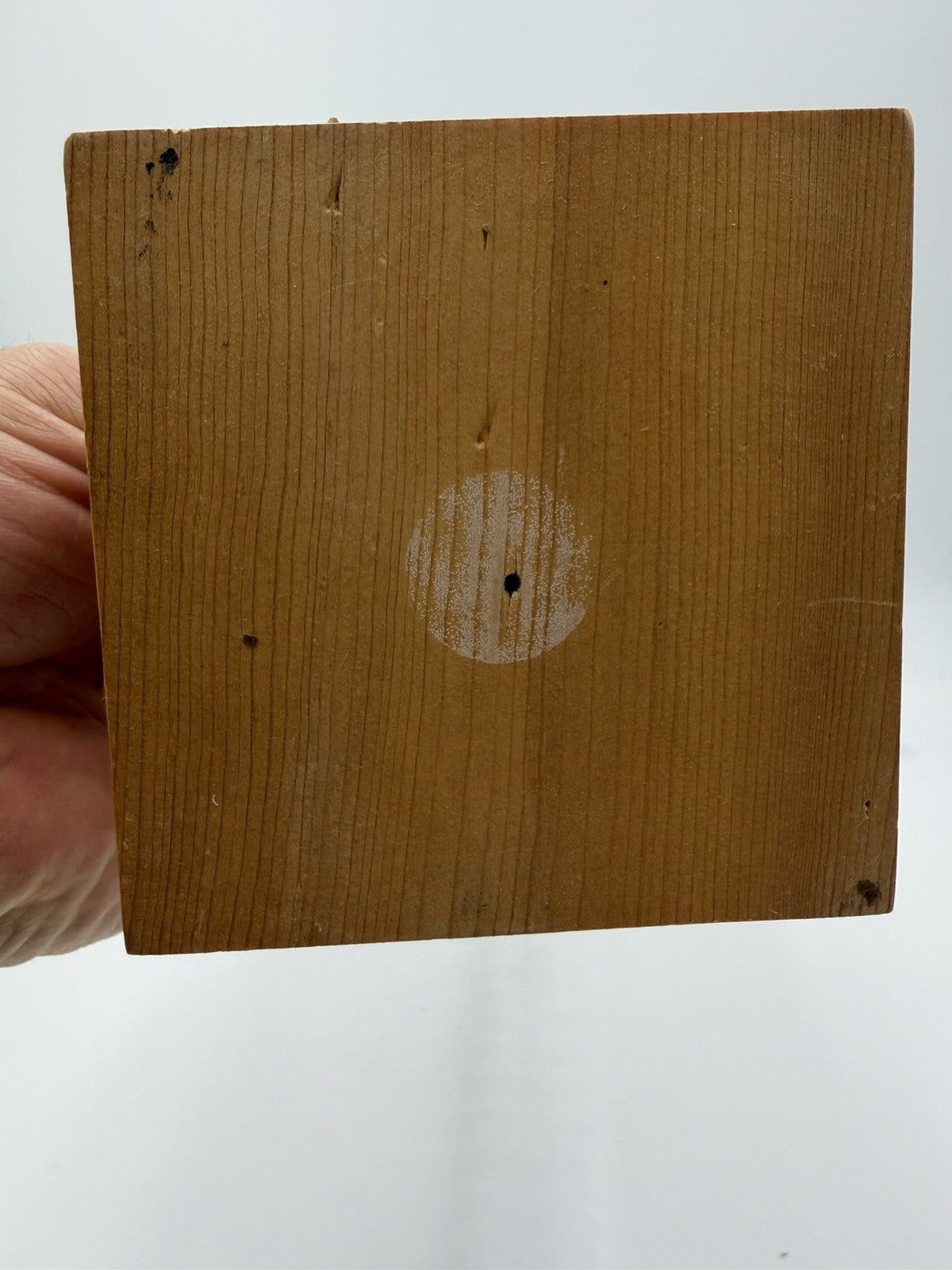 Authentic Steinbach Germany Wooden Bird Hunter 15" Nutcracker Painted Carved