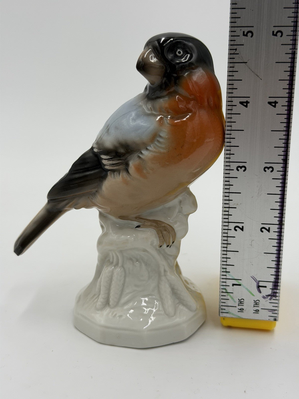 Antique Unterweissbach Germany Porcelain Bullfinch Bird Figurine 5”H #8509 Model