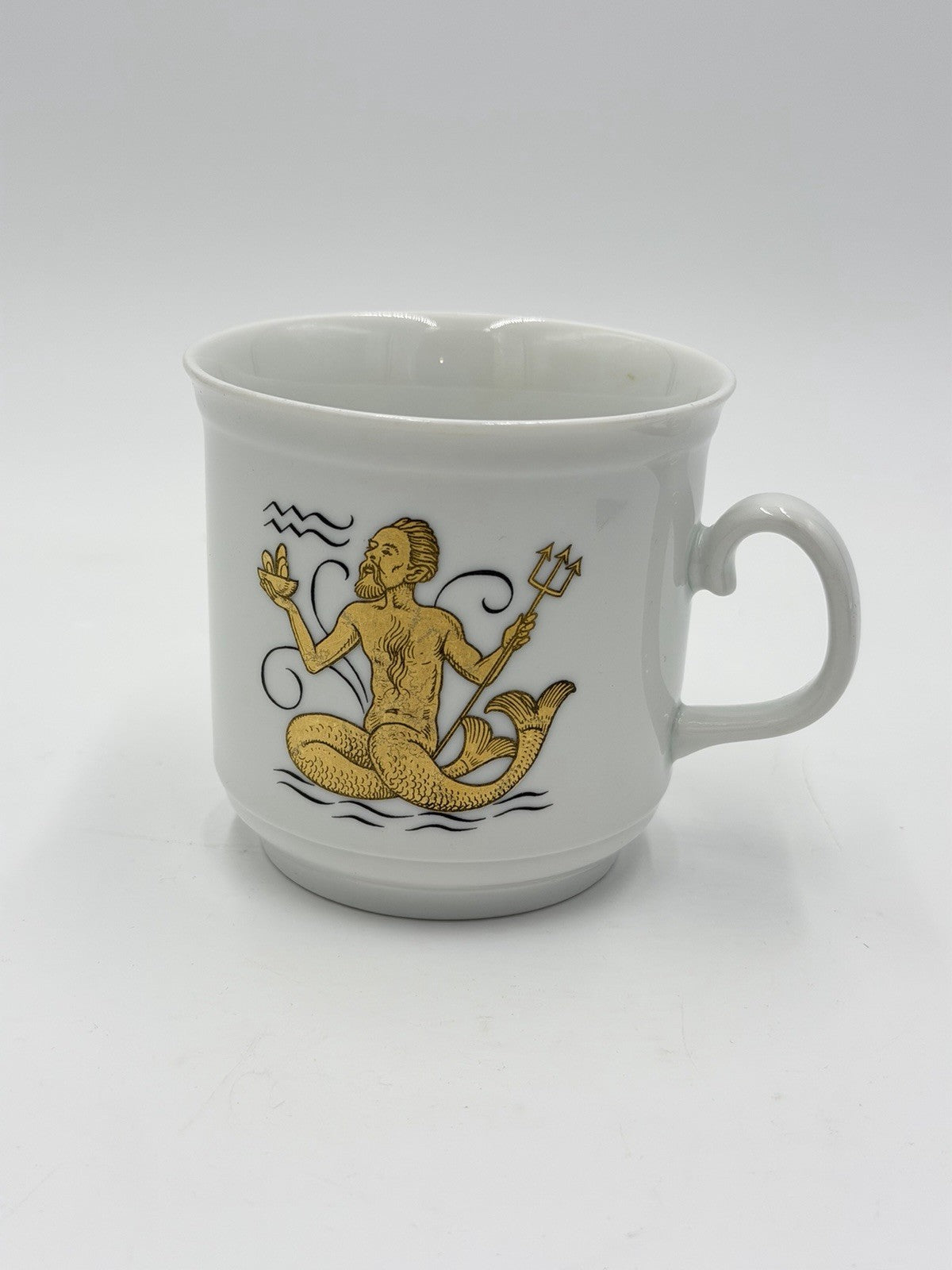 Schumann Arzberg Aquarius Bavarian Porcelain Zodiac Signs #21 Coffee Mug Vintage