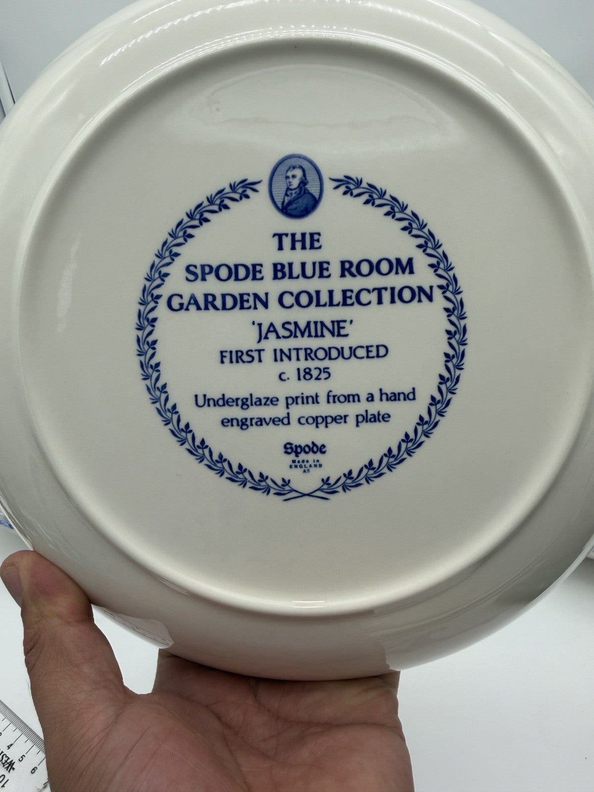 Spode Porcelain Blue Room Garden Collection Jasmine Blue & Yellow Pasta bowl Set
