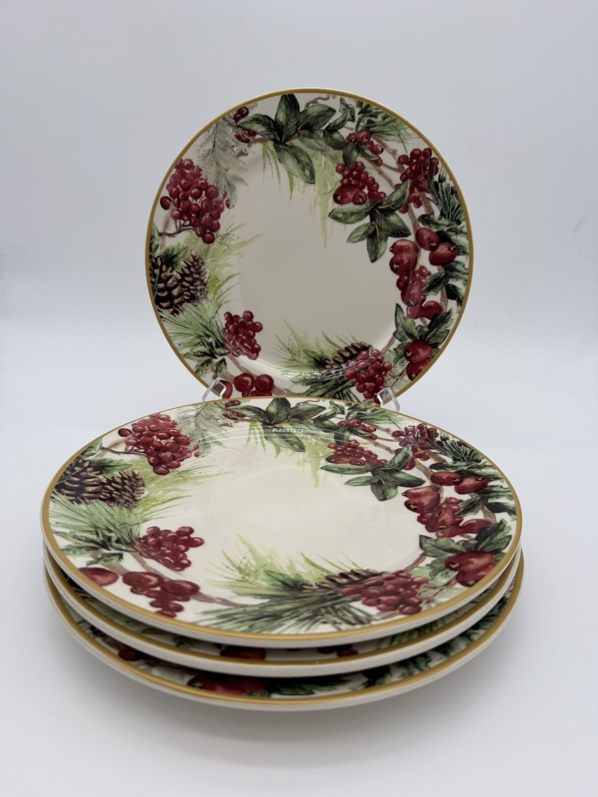 Botanical Wreath Williams Sonoma Dinner Plates 10.5” Red Berries & Pinecones 4