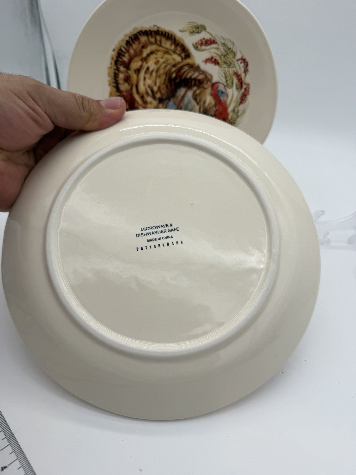 Pottery Barn Watercolor Plymouth Turkey 2 salad plates Thanksgiving 8”