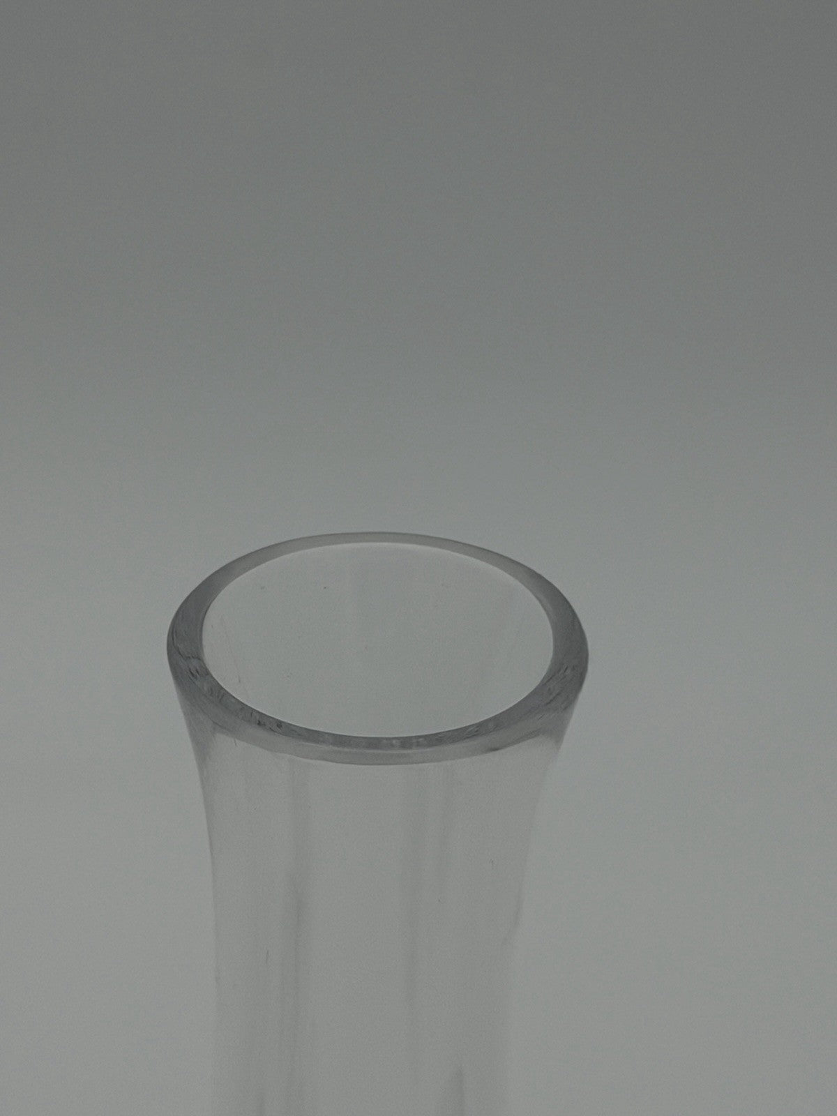 Tiffany & Co Crystal Merion Pattern Etched 8"H Bud Vase Clear Leaves Feathers