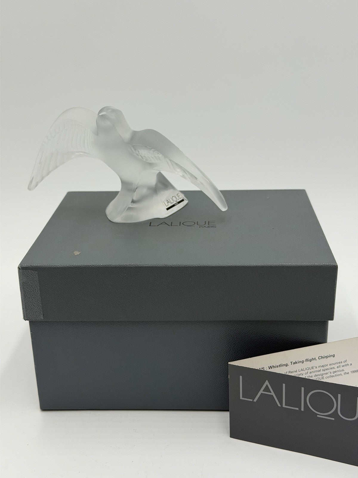 Lalique Crystal France Paris Swallow Taking Flight Martinet Bird Frosted Figurin