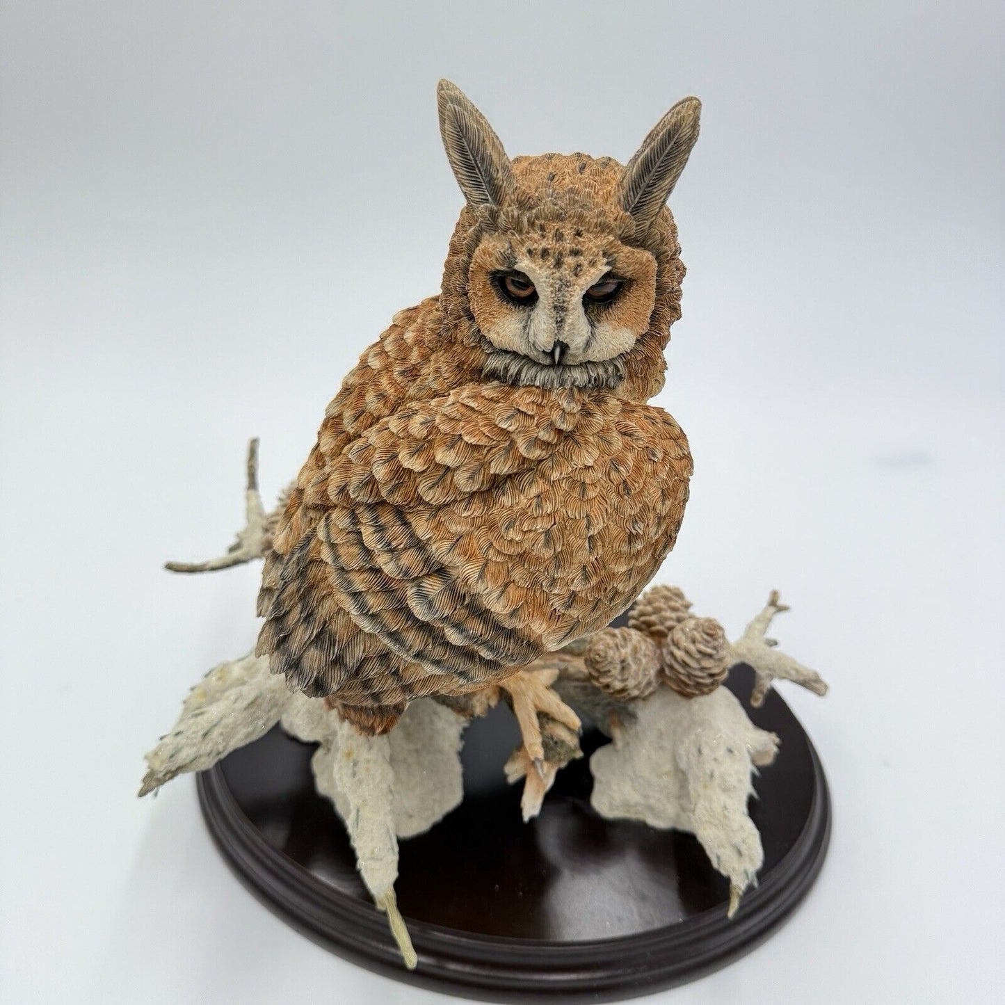 Large Country Artist Long Eared Owl Painted On Wooden Base 2002 Rare 11”H