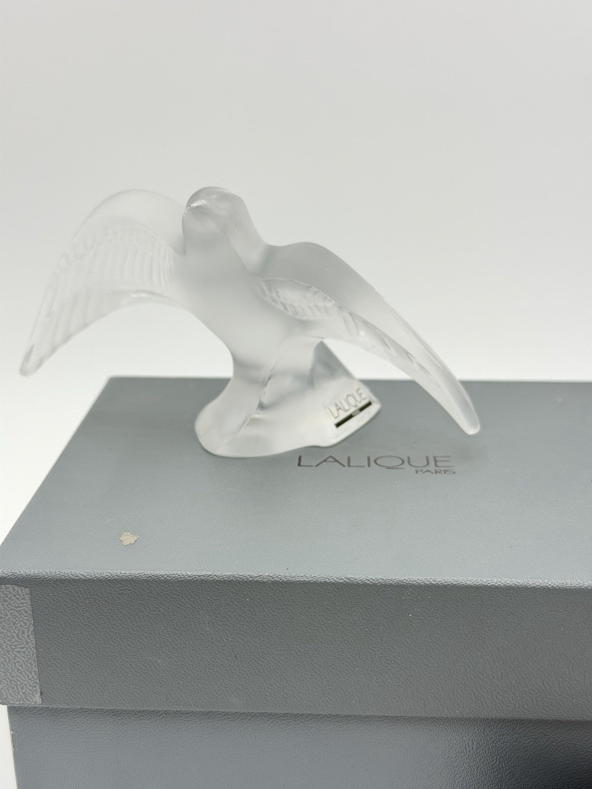 Lalique Crystal France Paris Swallow Taking Flight Martinet Bird Frosted Figurin