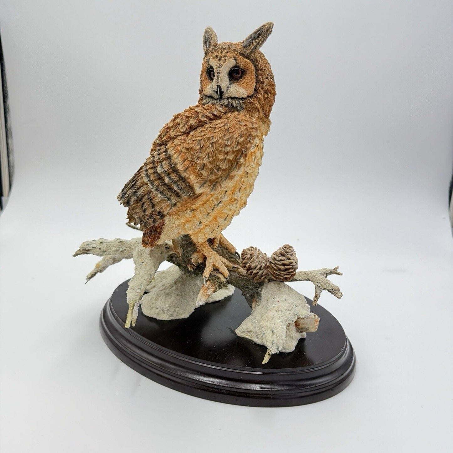 Large Country Artist Long Eared Owl Painted On Wooden Base 2002 Rare 11”H