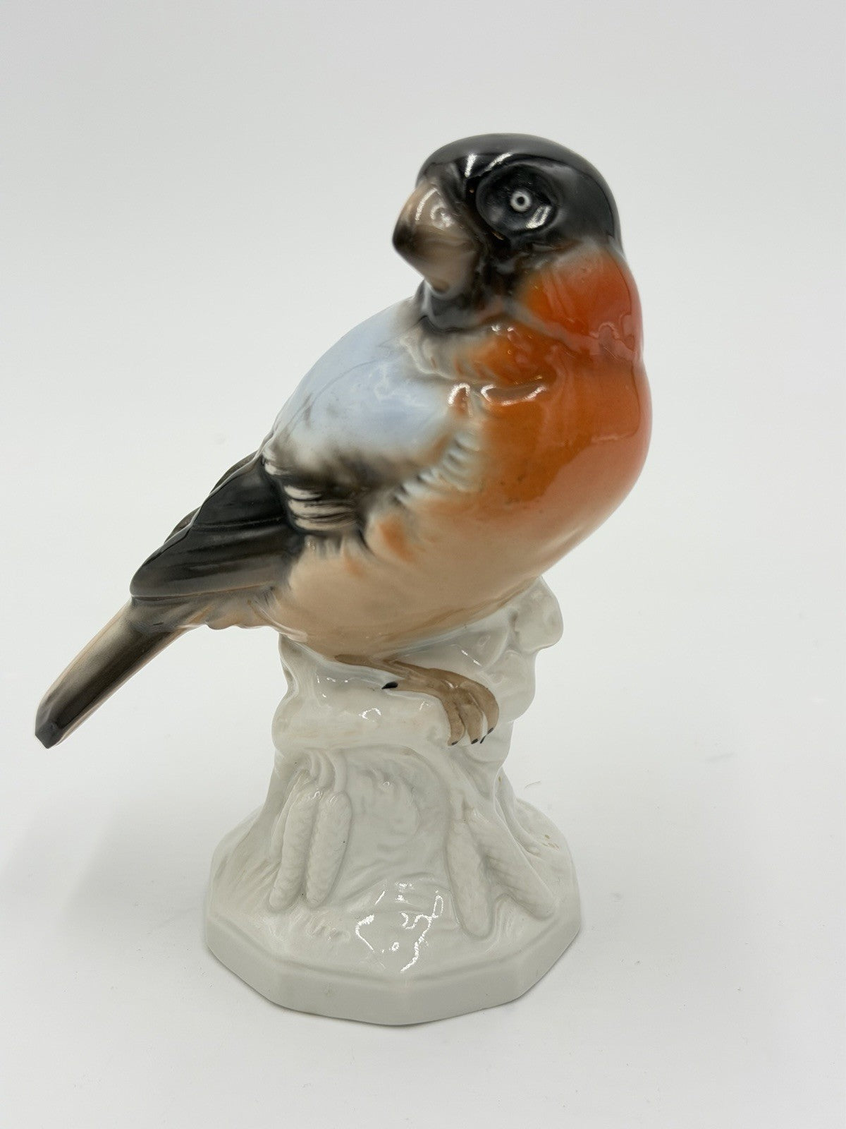 Antique Unterweissbach Germany Porcelain Bullfinch Bird Figurine 5”H #8509 Model