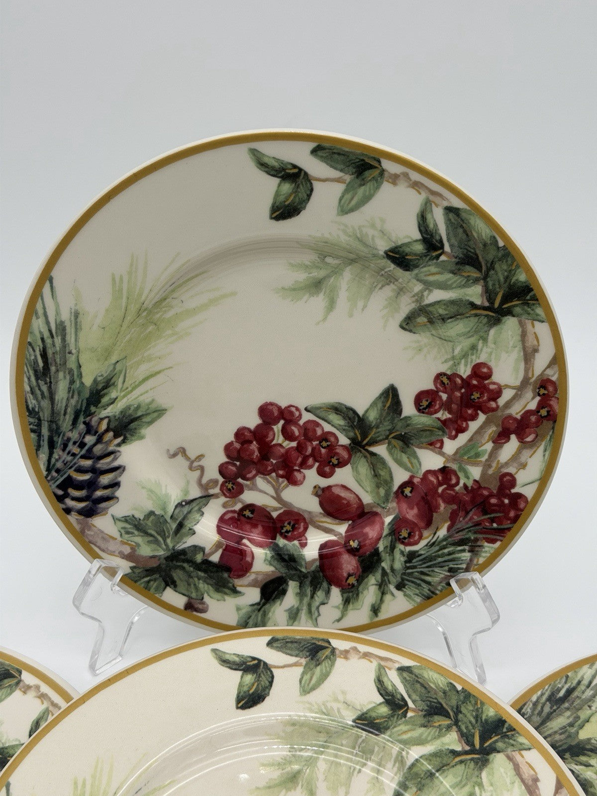 Botanical Wreath William Sonoma Red Berries & Pinecones Salad /dessert Plates 4