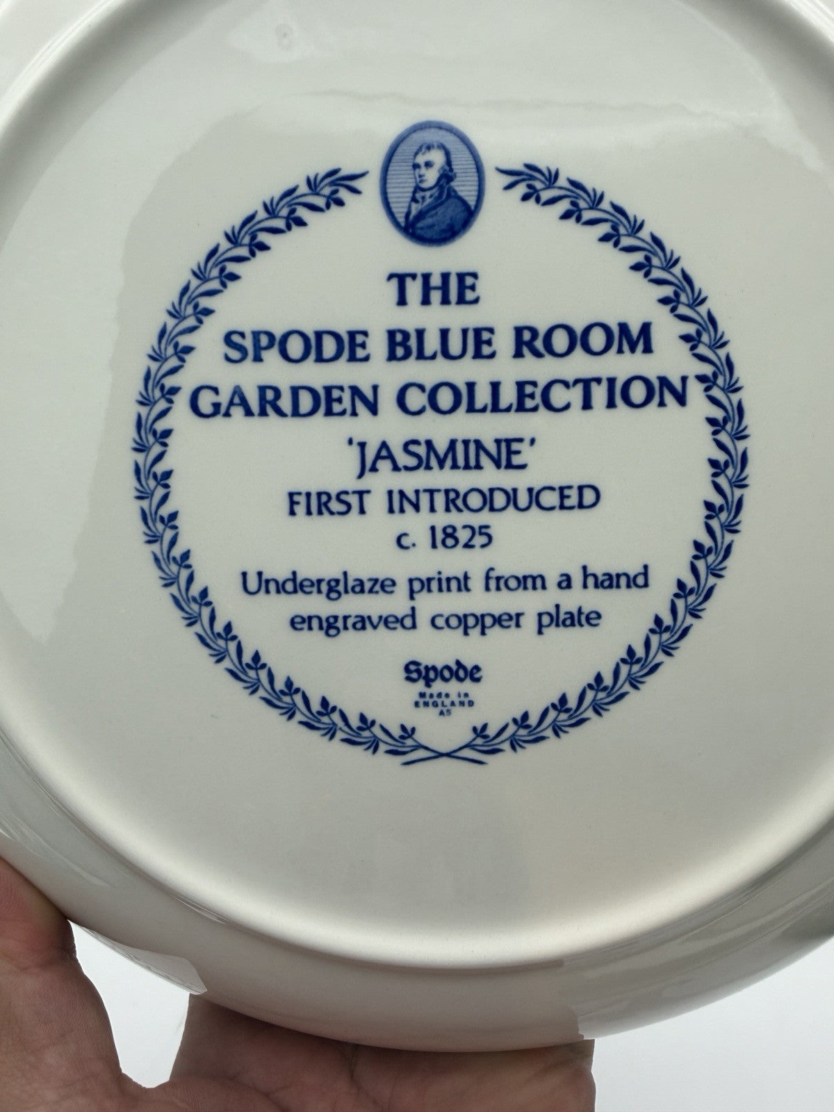 Spode Porcelain Blue Room Garden Collection Jasmine Blue & Yellow Pasta bowl Set