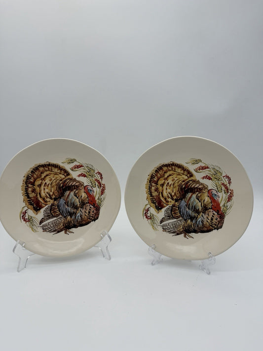 Pottery Barn Watercolor Plymouth Turkey 2 salad plates Thanksgiving 8”
