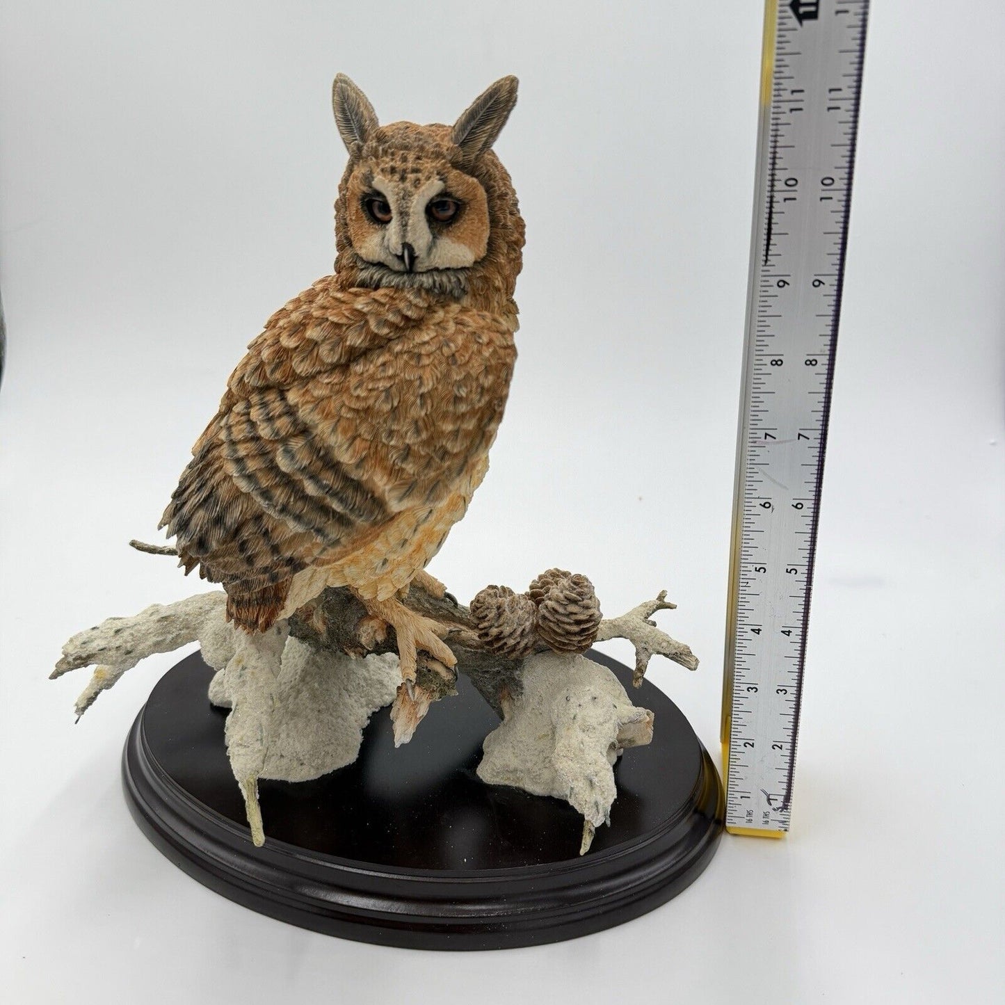 Large Country Artist Long Eared Owl Painted On Wooden Base 2002 Rare 11”H