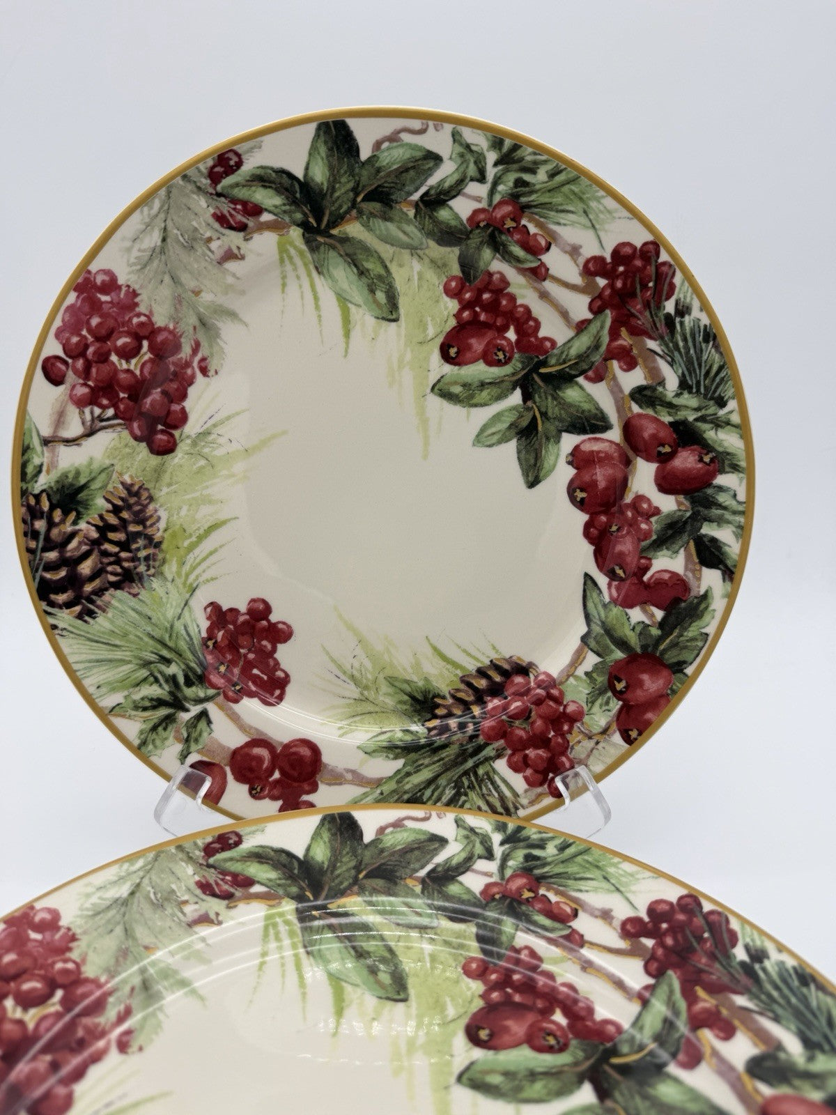 Botanical Wreath Williams Sonoma Dinner Plates 10.5” Red Berries & Pinecones 4